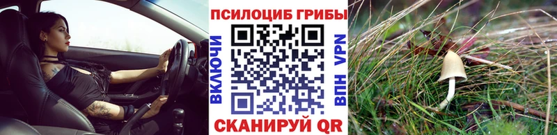 KRAKEN зеркало  дарк нет официальный сайт  Красный Сулин  Псилоцибиновые грибы Magic Shrooms  даркнет сайт 